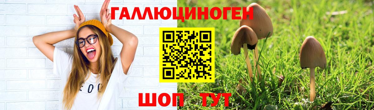 Каспийск  Псилоцибиновые грибы Magic Shrooms  как найти закладки  Вход с VPN  Псилоцибиновые грибы мицелий 