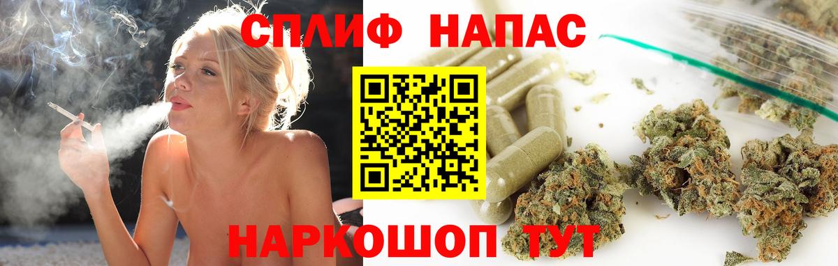 Бошки марихуана Amnesia Каспийск
